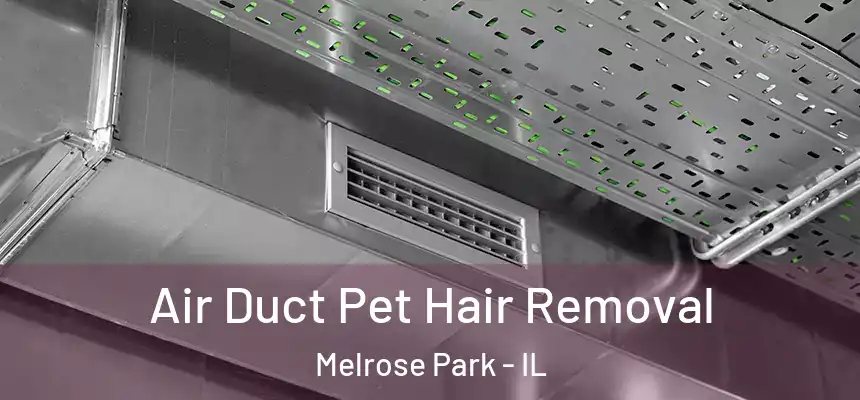 Air Duct Pet Hair Removal Melrose Park - IL