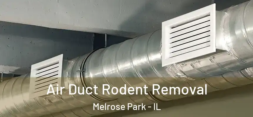  Air Duct Rodent Removal Melrose Park - IL