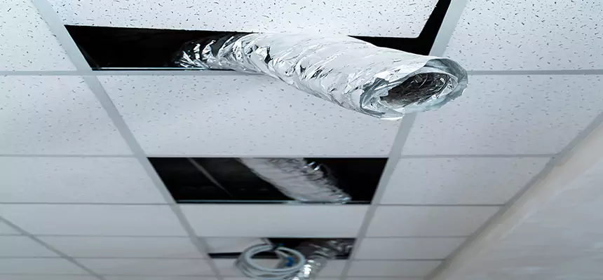 Our Air Duct Pet Hair Removal Services in Melrose Park, IL