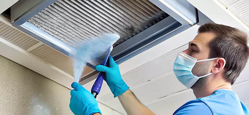 Proactive Dryer Vent & Auxiliary Duct Pollen Cleanup in Melrose Park, IL
