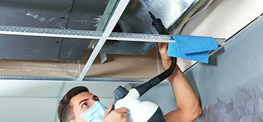 Our Air Duct Rodent Removal Services in Melrose Park, IL