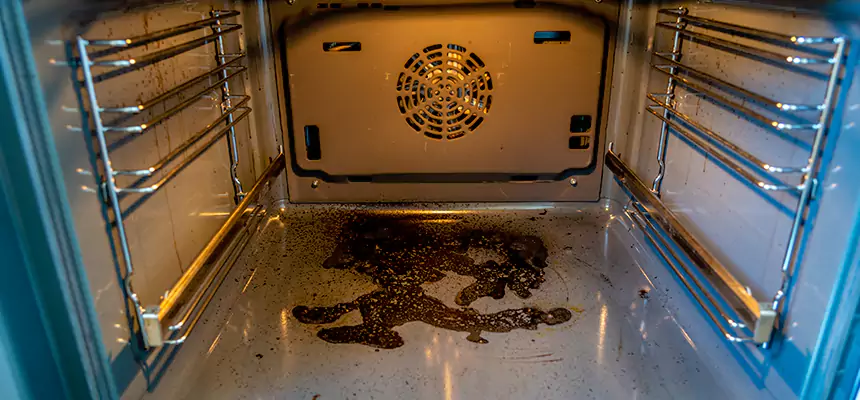 Our Dryer Vent Mold Cleaning Services in Melrose Park, IL