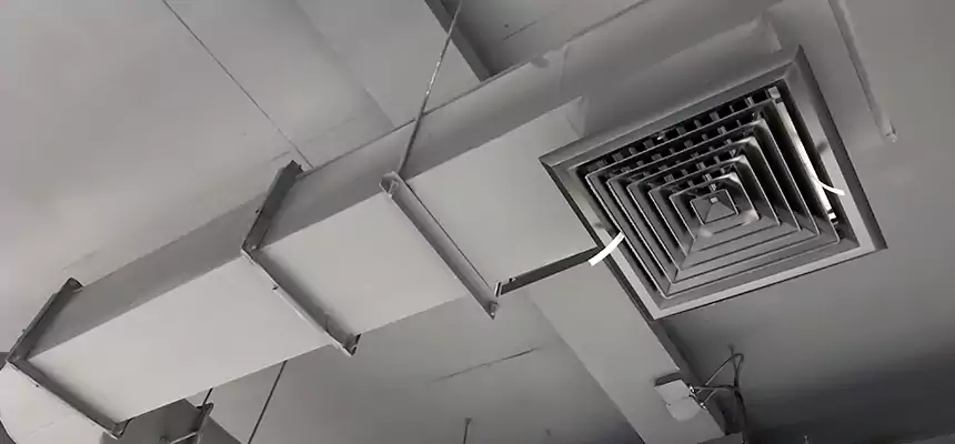 Our Pest Removal From Ducts Services in Melrose Park, IL