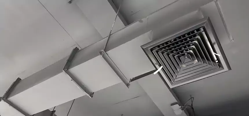 Our Rodent Droppings In Vents Services in Melrose Park, IL