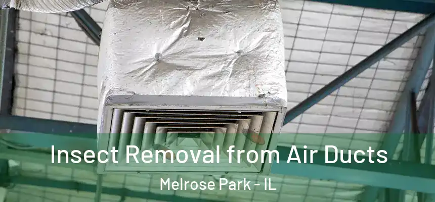  Insect Removal from Air Ducts Melrose Park - IL