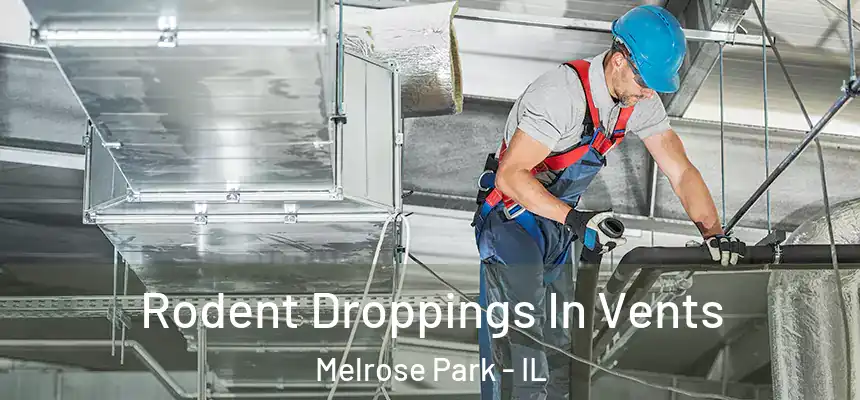  Rodent Droppings In Vents Melrose Park - IL
