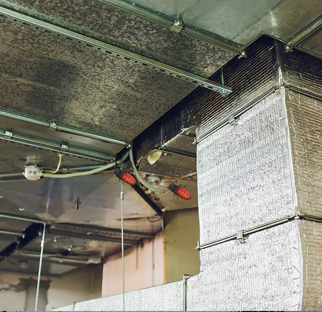 Why Homeowners & Businesses Trust Us Melrose Park, IL?